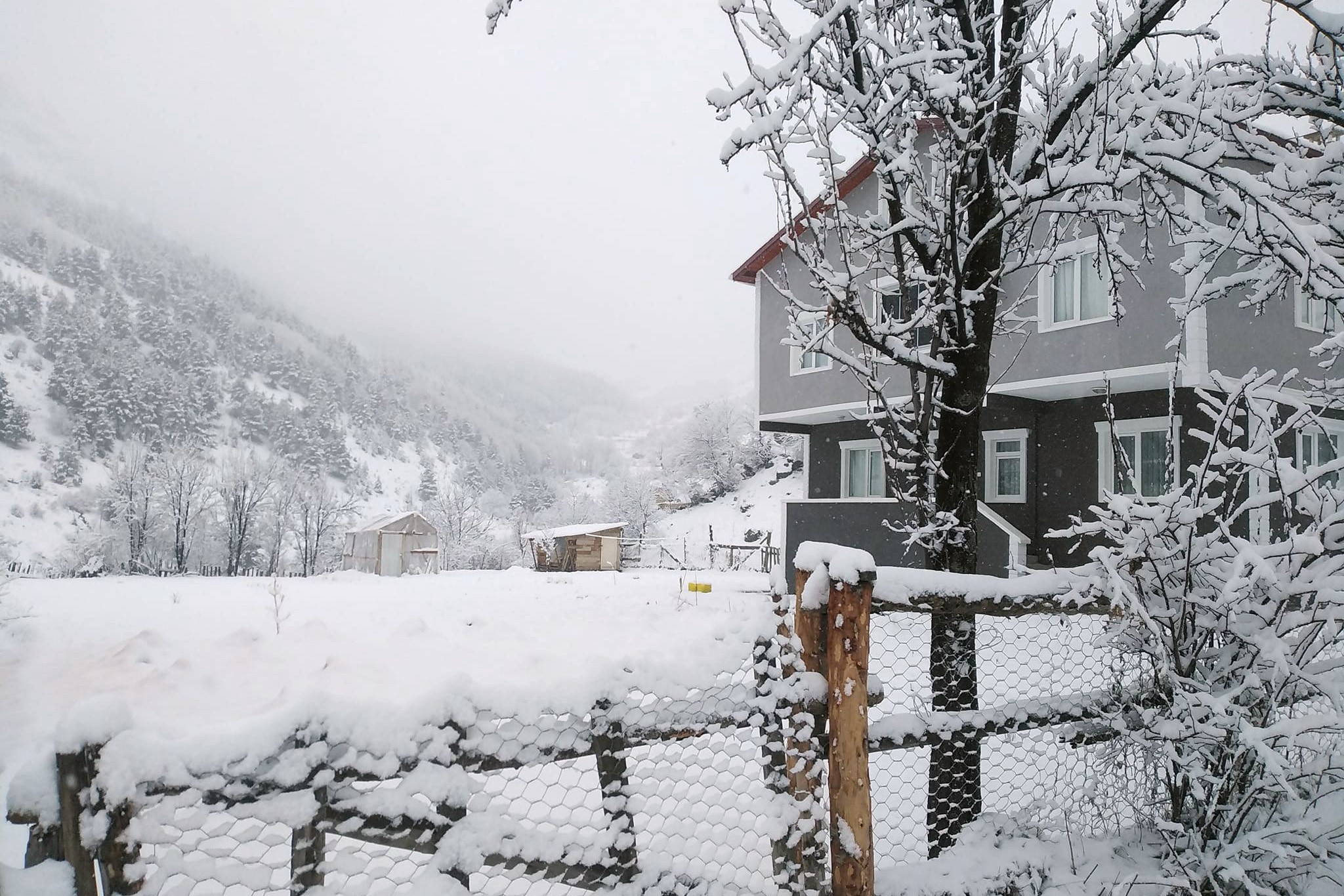 Gümüşhane'de kar yağışı etkili oluyor 