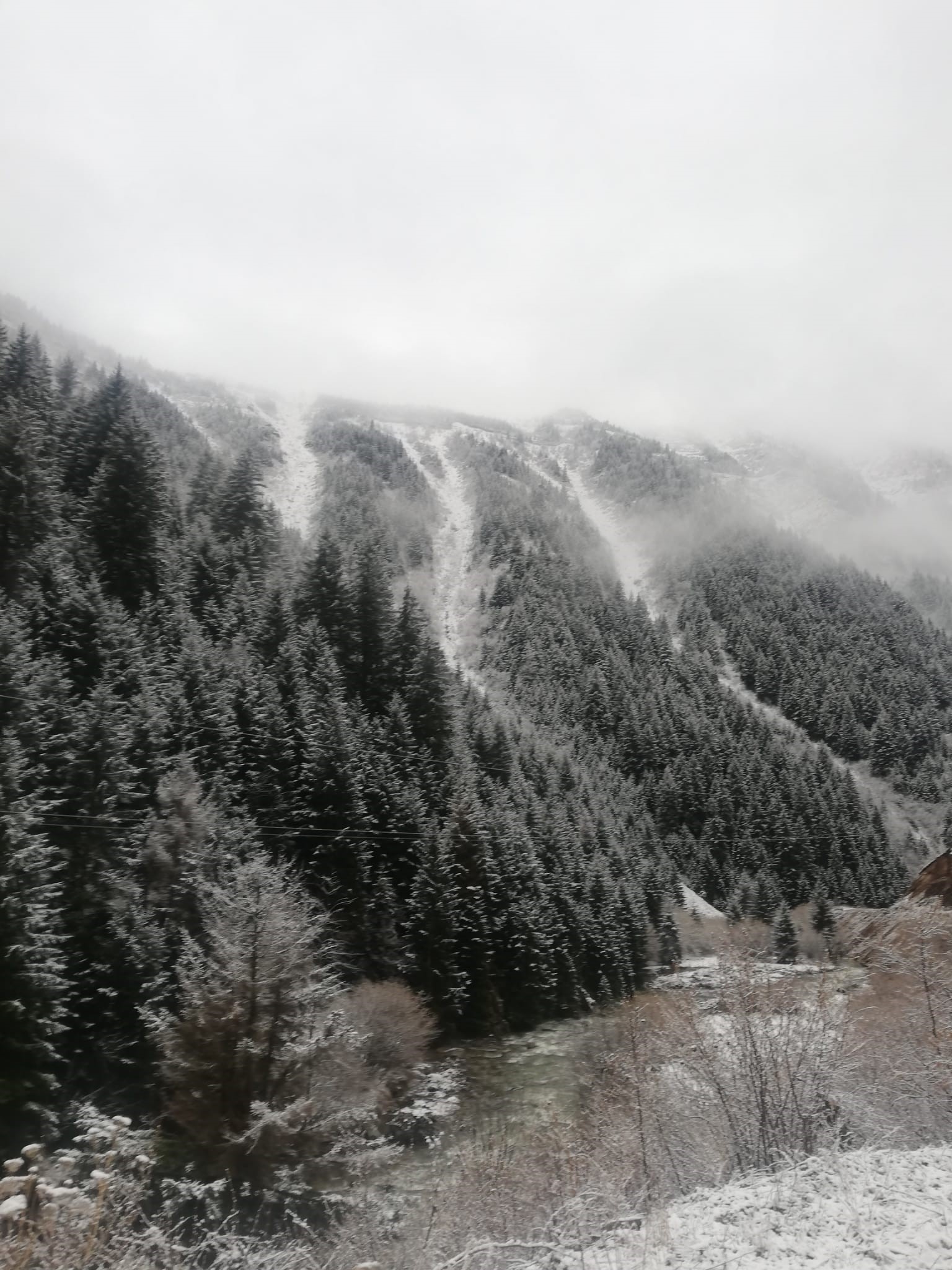 Rize'ye bahar karı düştü
