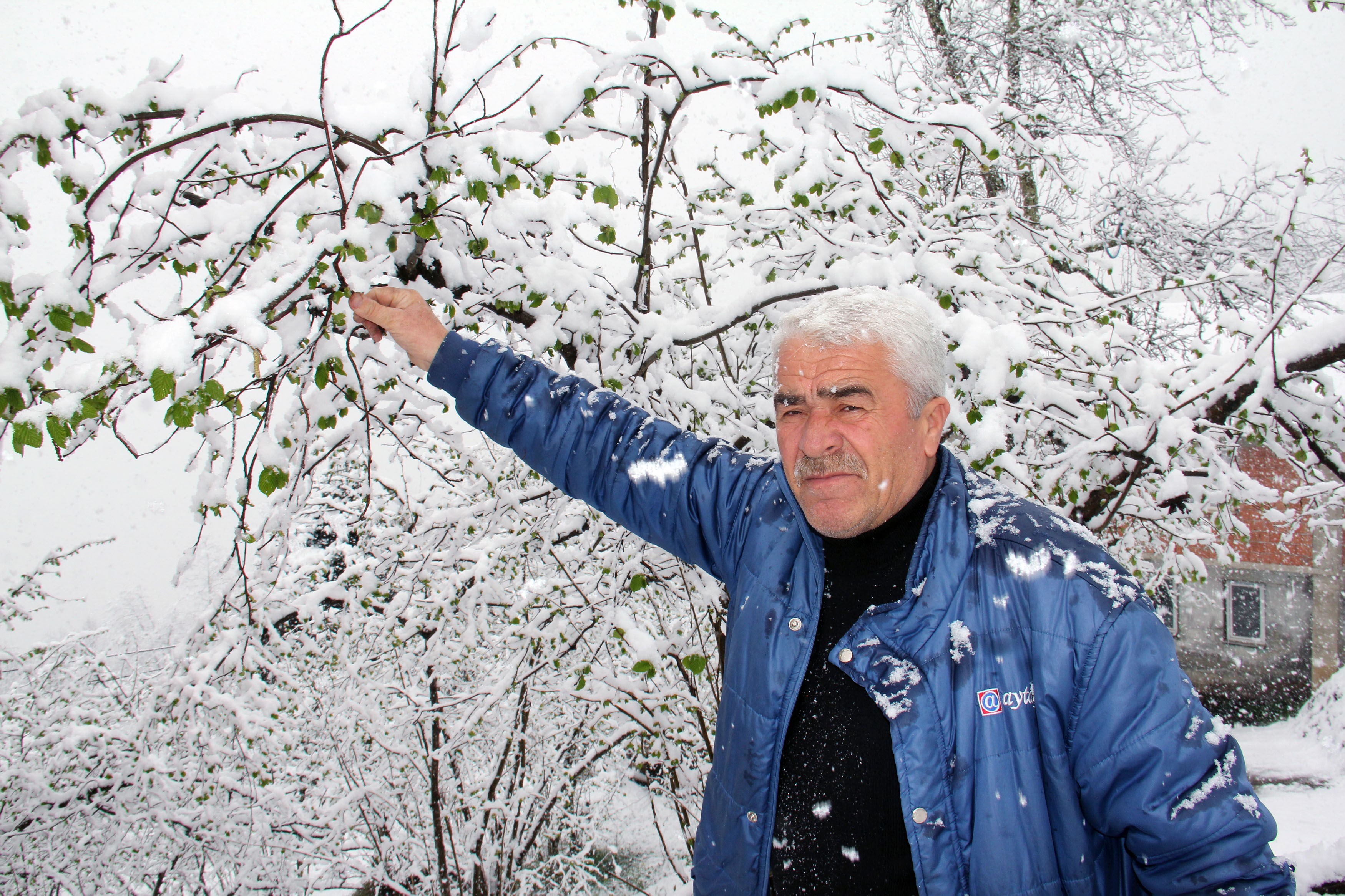 Mart karı fındık üreticisini endişelendirdi
