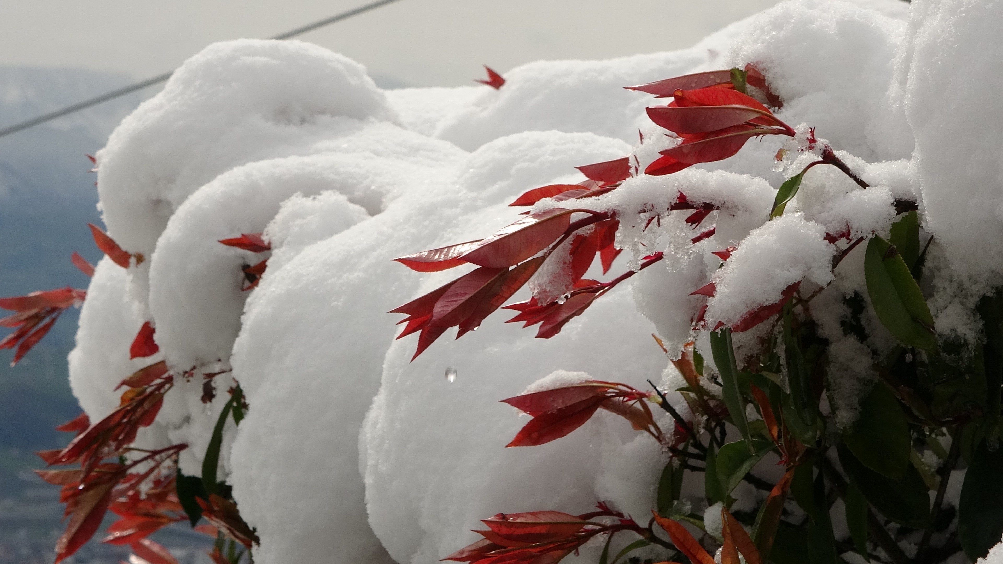 Ordu’da Mart ayının son günlerinde kar güzelliği