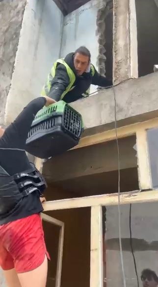 Artvin'de sular altında kalan ilçede mahsur kalan sokak hayvanları bot ile kurtarıldı