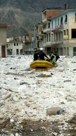 Artvin'de sular altında kalan ilçede mahsur kalan sokak hayvanları bot ile kurtarıldı