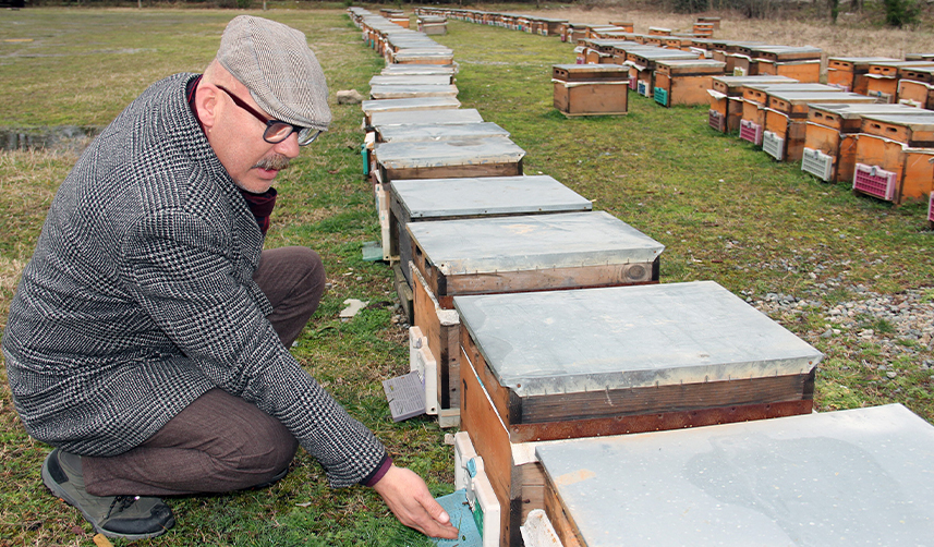 Arıcılara uyarı! Bahar bakımı ihmal edilmemeli