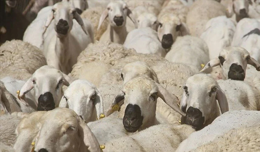 Bakan-Kirişçi-müjdeyi-verdi-Çalışmalar-tamamlandı!