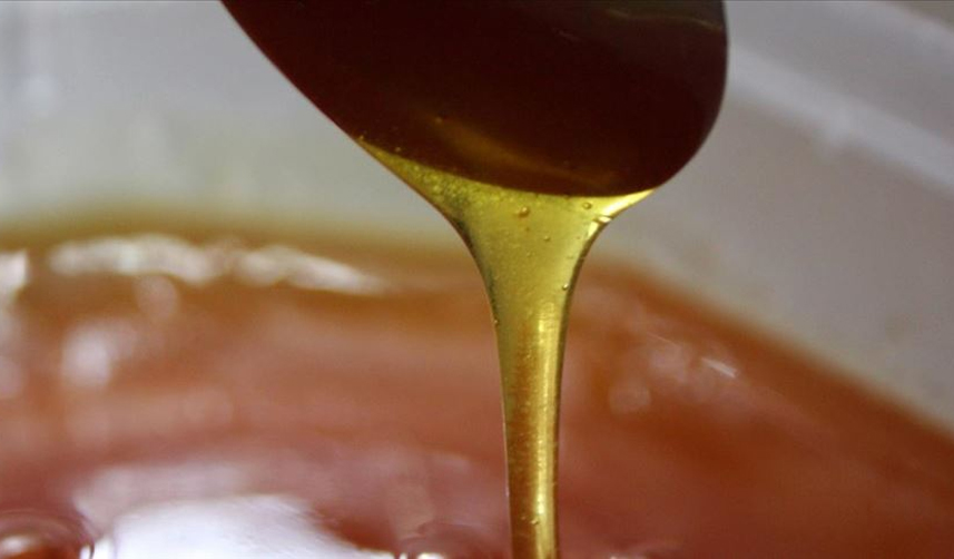 Türkiye'nin 2 aylık bal ihracat rakamları belli oldu