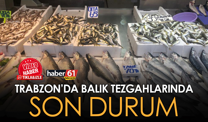 Trabzon'da balık tezgahlarında son durum