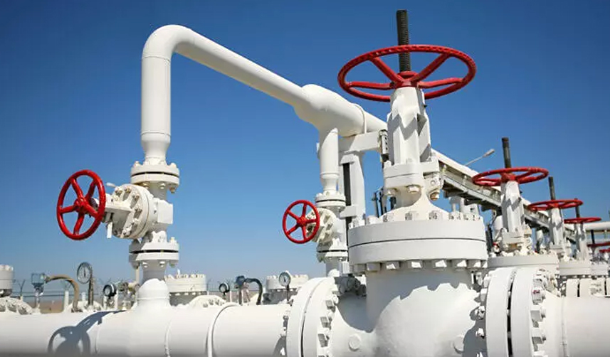 Bakan Dönmez'den Akkuyu ve Karadeniz gazı açıklaması "Karaya çıkaracağız"