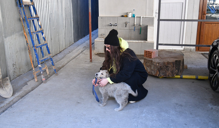 Enkaz altından kurtarılan köpek Trabzon'da sahiplendirildi