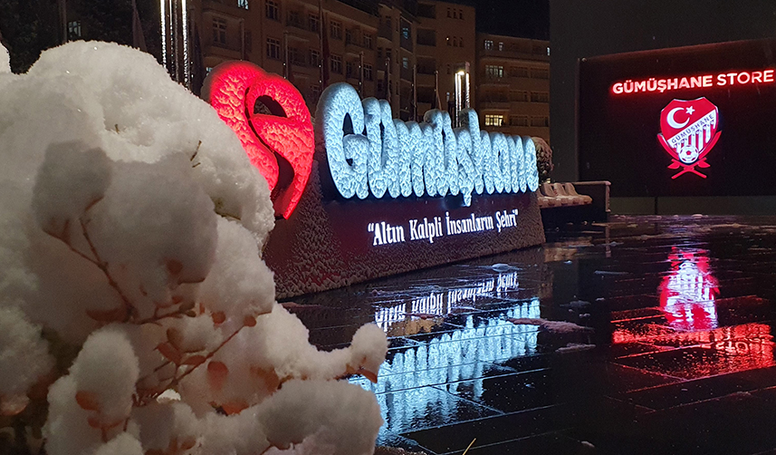 Gümüşhane'de kar yağışı etkili oldu