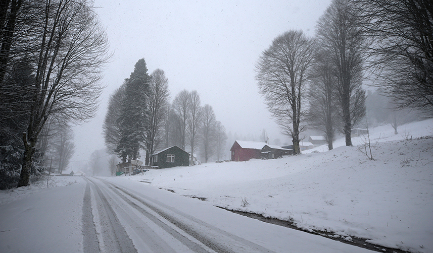 Trabzon'da kar etkili oldu!