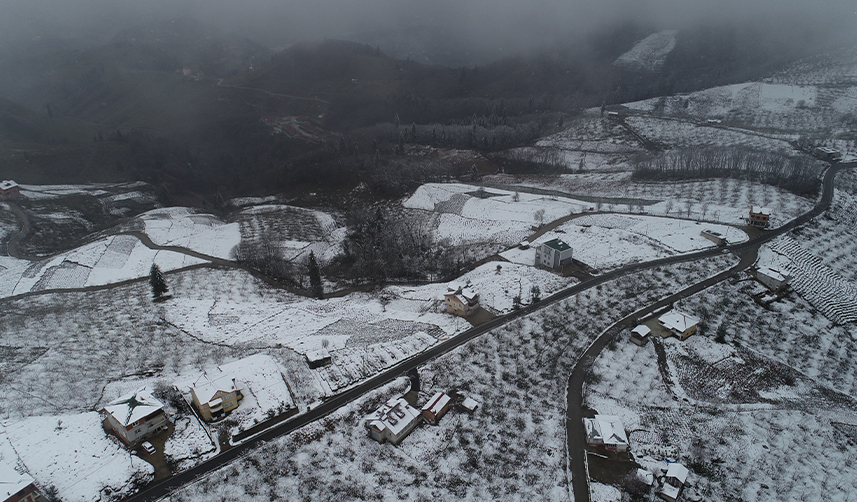 Trabzon'da fındık üreticileri bahçelerini böyle koruyacak