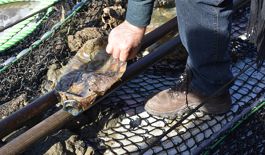 KTÜ-deniz-çöplerinin-azaltılması-amacıyla-başlatmıştı!-Proje-sona-erdi-4