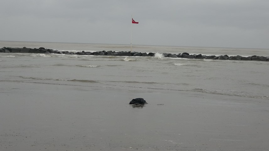 Ordu'da deniz de erkek cesedi bulundu