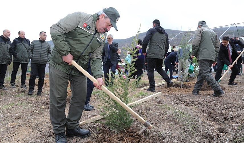 Artvin'de "6 Şubat Deprem Şehitleri Hatıra Ormanı" oluşturuldu