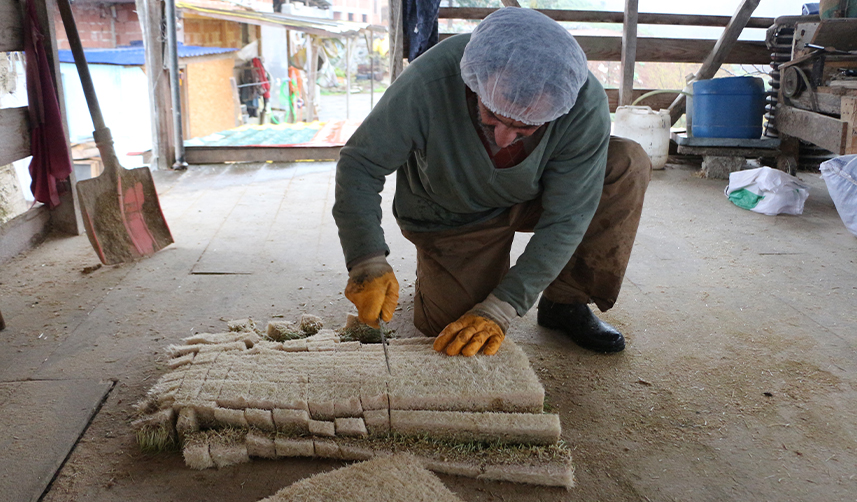Rize'de-6-metrekarelik-alanda-hayvanları-için-yem-üretiyor