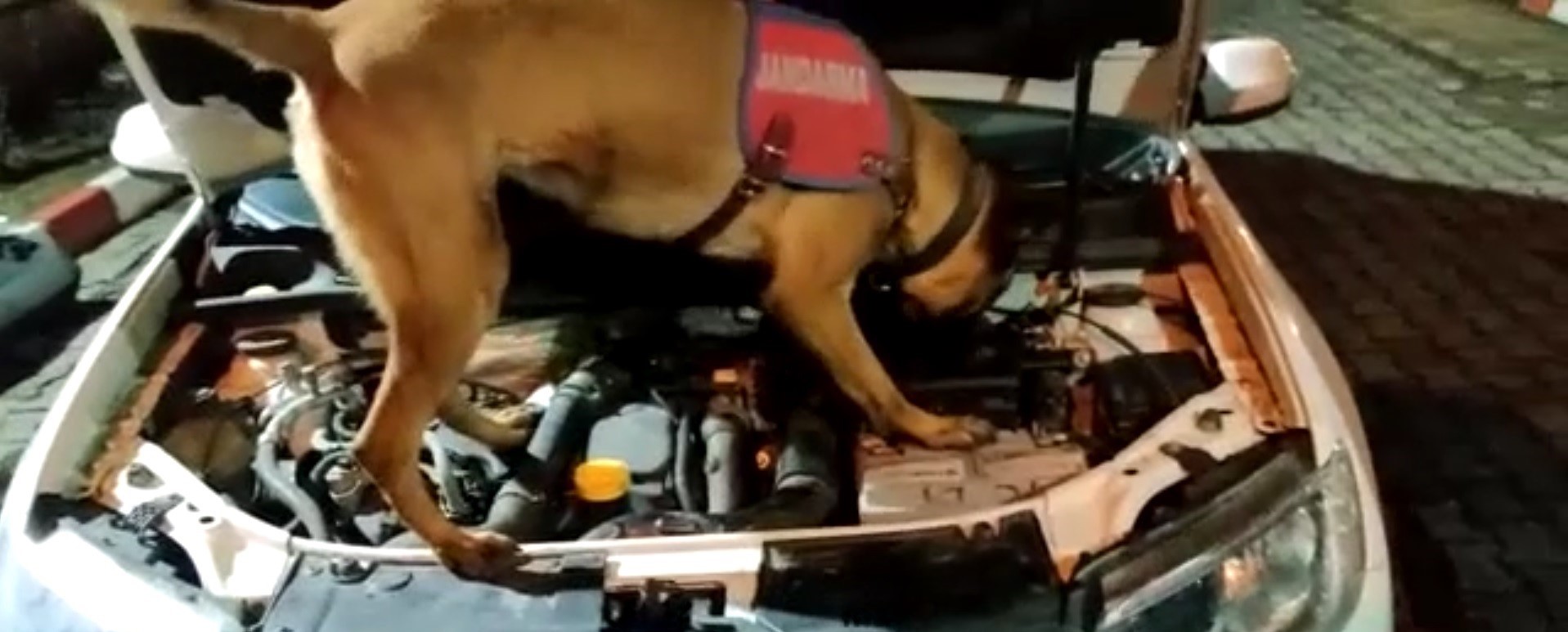 Samsun'dan Trabzon'a uyuşturucu getirdiler, Yatkın'a yakalandılar