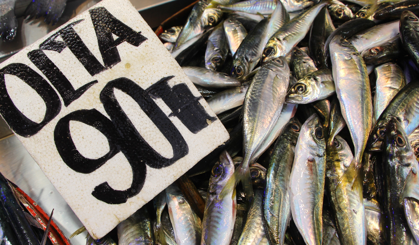 Trabzon'da-hamsi-sezonu-kapattı!-Vatandaş-istavrit-ve-mezgite-döndü