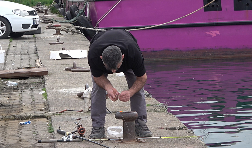 Trabzon'da kafesten kaçan balıklar Rize'nin yüzünü güldürdü