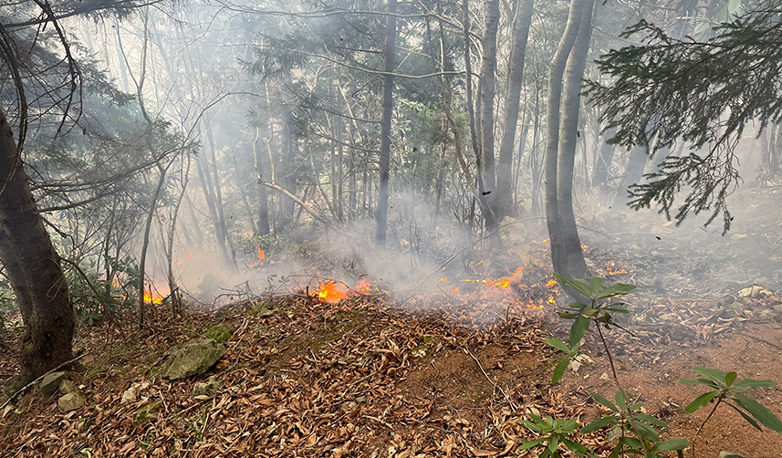 Trabzon'da örtü yangını! Ekipler seferber oldu