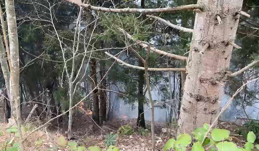 Trabzon'da örtü yangını! Ekipler seferber oldu