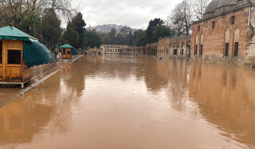 Bakan Soylu sel bölgesinden acı haberi verdi! Can kaybı yükseldi