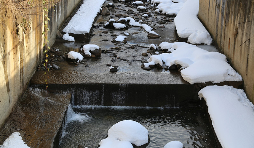 Yağmurun kesilmek bilmediği Rize'de kuraklık alarmı