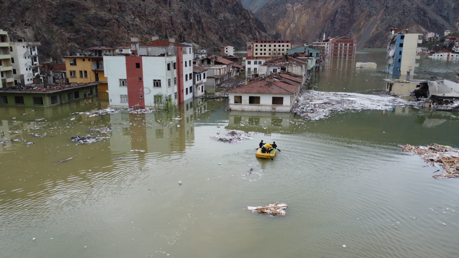 Yusufeli Barajı'nda yaklaşık bin sahipsiz hayvan kurtarıldı 