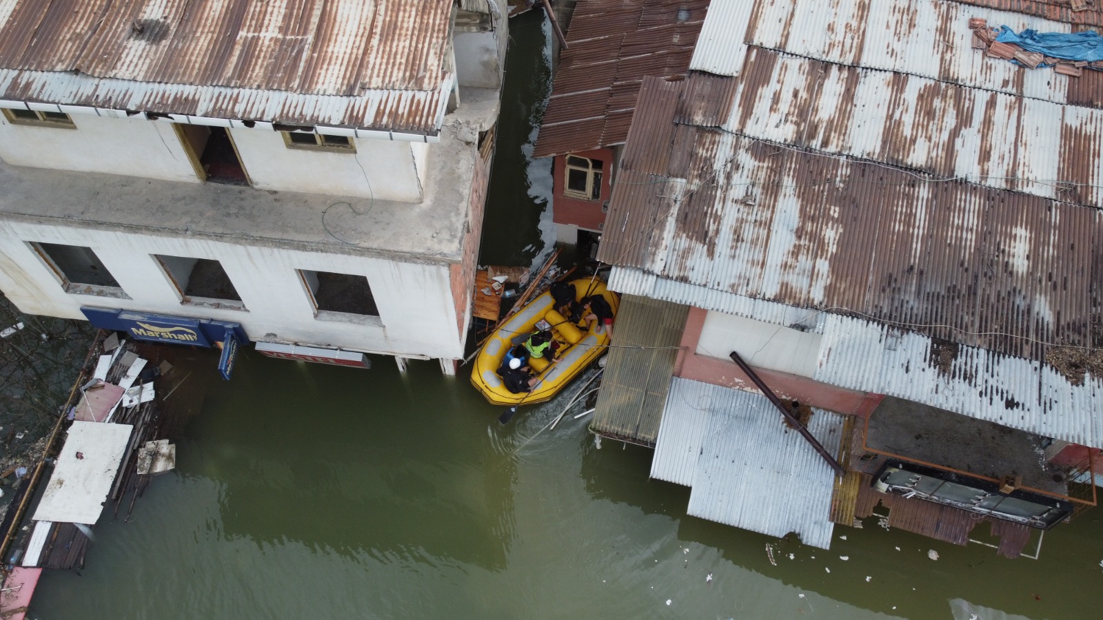 Yusufeli Barajı'nda yaklaşık bin sahipsiz hayvan kurtarıldı 