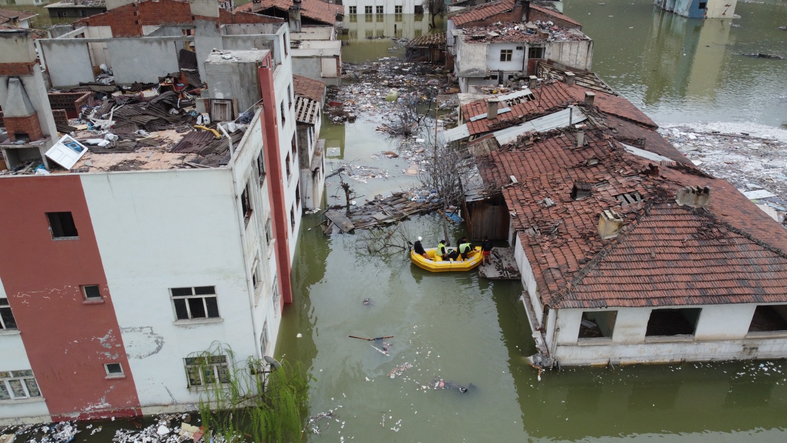 Yusufeli Barajı'nda yaklaşık bin sahipsiz hayvan kurtarıldı 
