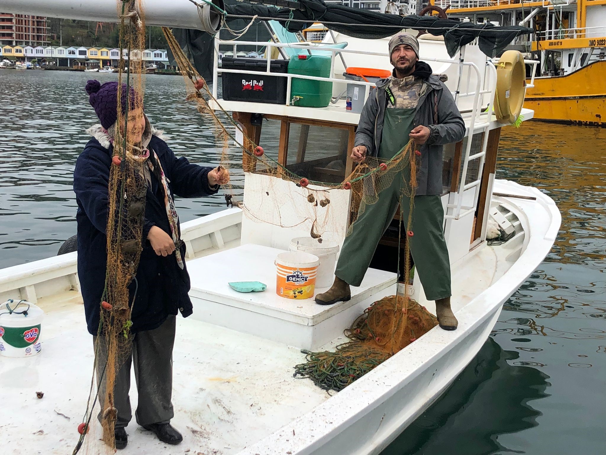 Rizeli çift yunus balıklarını elleriyle besliyor