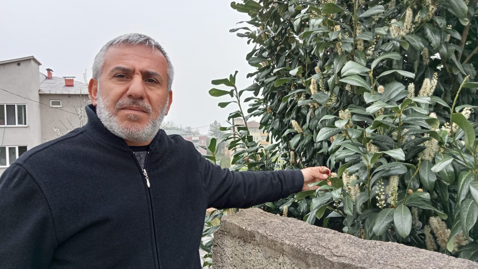 Trabzon'da karayemiş mevsimleri şaşırdı