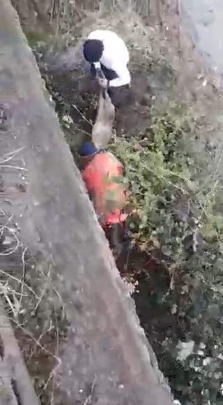 Trabzon'da dereden karaca kurtarma operasyonu