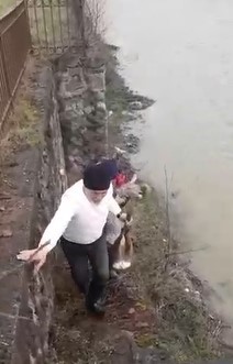 Trabzon'da dereden karaca kurtarma operasyonu