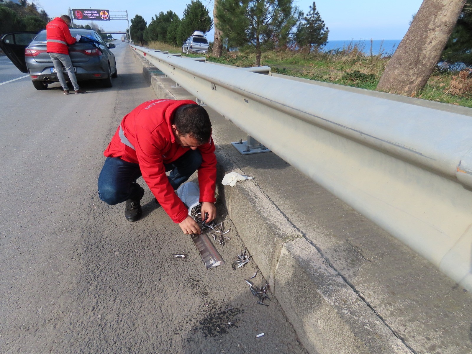 Trabzon'da balık avı sezonu boyunca el konulan hamsi miktarı belli oldu
