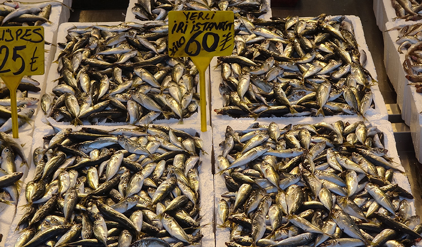 Denizlerde av yasağı başladı ama Trabzon'da tezgahlardaki hareketlilik sürüyor