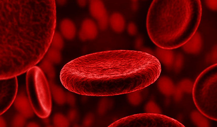 Eritrosit-nedir
