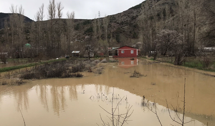 Gümüşhane'de Harşit Çayı taştı! Bahçeler gölete döndü