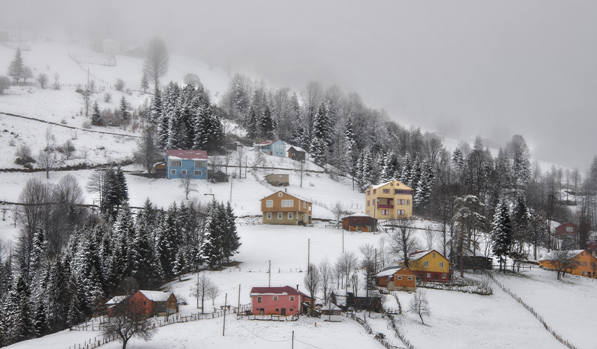 Kadıralak Yaylası'nın "mavi yıldızlar"ı kar altında kaldı