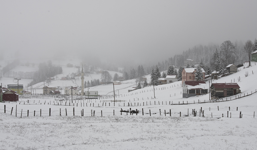 Kadıralak Yaylası'nın "mavi yıldızlar"ı kar altında kaldı