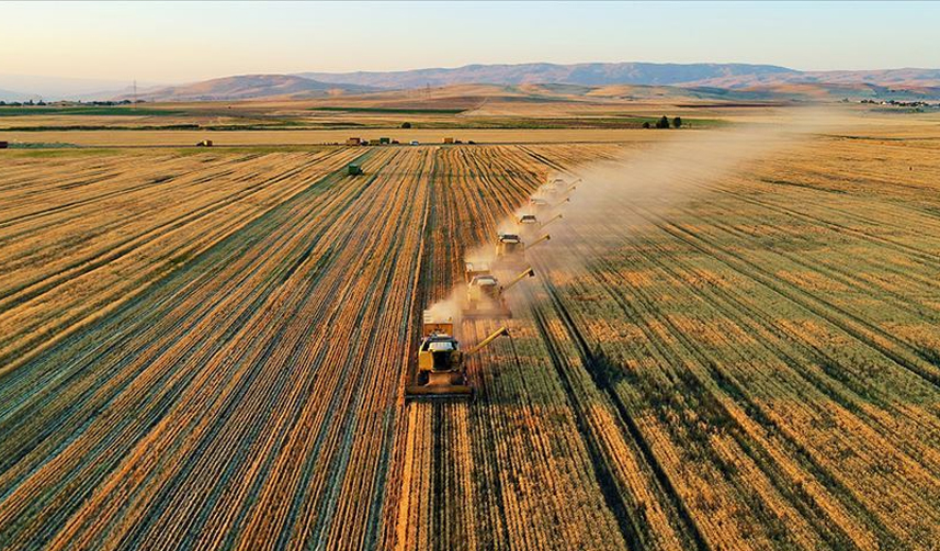 Bakan duyurdu! Ödemeler bugün hesaplara yatırılacak
