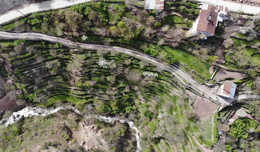 Artvinli duvar ustasının dik yamaçtaki 60 yıllık tarım öyküsü