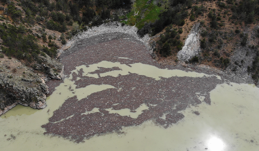 Torul Baraj ‘Çöplüğü’nde yine aynı görüntü