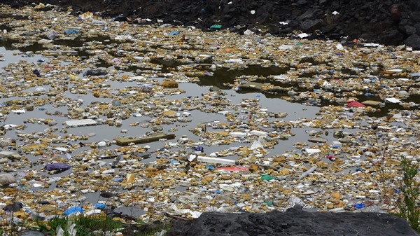 Trabzon çöp (8)