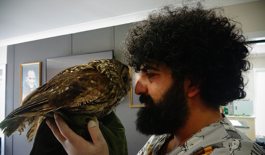 Trabzon'da yaralı baykuşu bebek gibi elleriyle beslediler