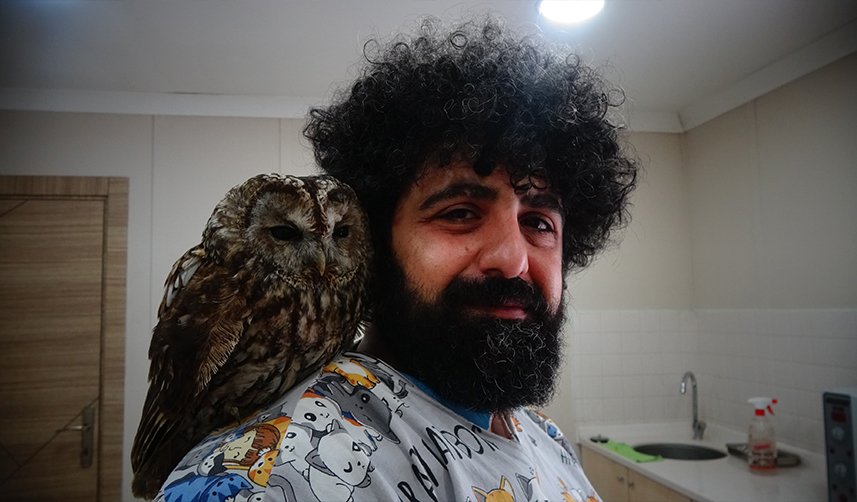 Trabzon'da yaralı baykuşu bebek gibi elleriyle beslediler