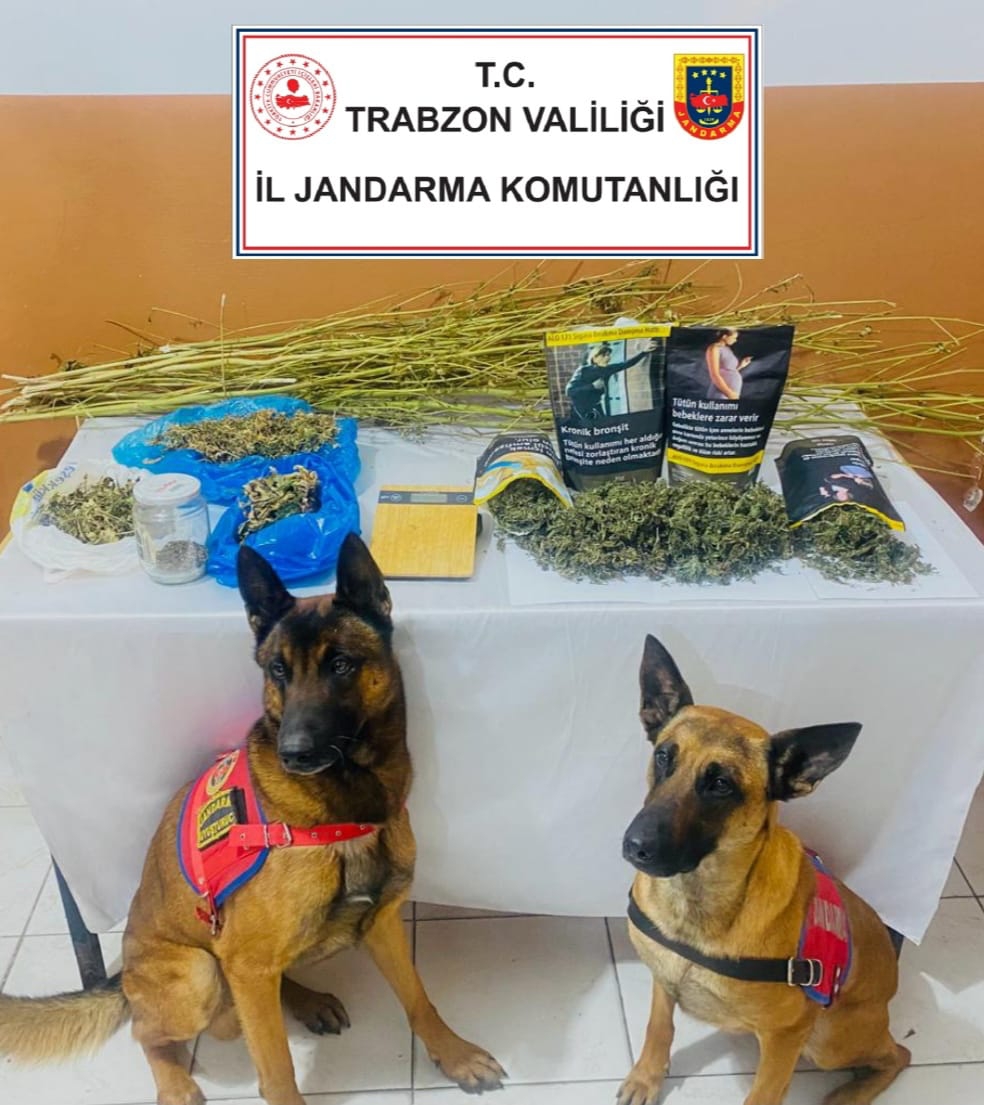 Trabzon'da jandarma kaçakçılık mücadelesinde hız kesmiyor