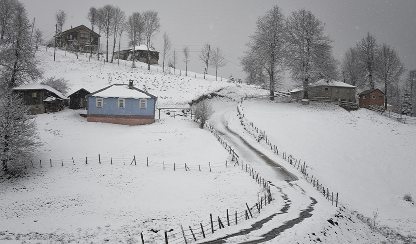 Kadıralak Yaylası'nın "mavi yıldızlar"ı kar altında kaldı