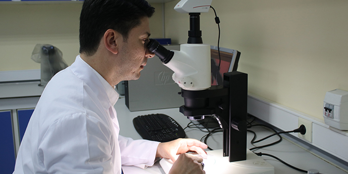 Nesli tehlikede bulunan Kafkas Semenderi için Doğu Karadeniz'den sevindiren haber