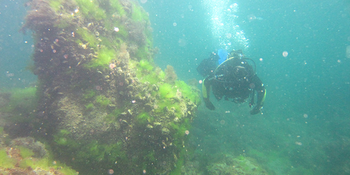 Doğu Karadeniz'de 5 ile 'Mavi Yol' Güzergah belirlendi