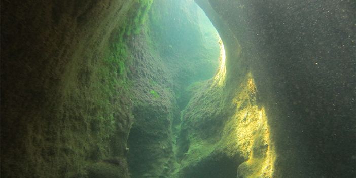 Doğu Karadeniz'de 5 ile 'Mavi Yol' Güzergah belirlendi